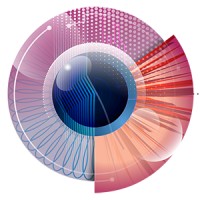 Artificial Intelligence in Vision and Ophthalmology (AIVO) logo - Similar company to Artificial Intelligence Tu/E - Wur - Uu - Umc Utrecht