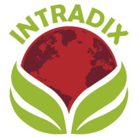INTRADIX IBÉRICA logo - Similar company to Vila Sarl