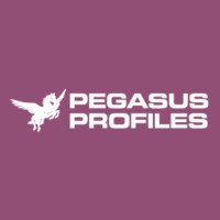 Pegasus Profiles Ltd logo - Similar company to Flexible Composites Ltd