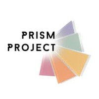 Prism Project Michigan logo - Similar company to Prism Projects