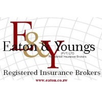 Eaton & Youngs Insurance logo - Similar company to Hamilton Insurance Pvt Ltd