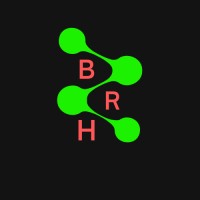 Brain RH▕ HR solutions for Tech, innovative and Web3 companies logo - Similar company to Deep Dive Monday▕  Hub De Transformation Rh 3.0