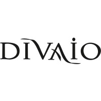 Divaio logo - Similar company to Gunstycom