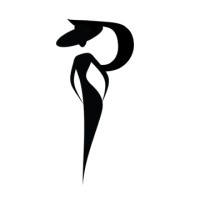 Pearlductions logo - Similar company to Halo 360°
