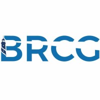 FinTech BRCG logo - Similar company to Dfg (Dynamic Fintech Group Llc)