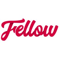 The Digital Fellow logo - Similar company to Tdf Management Consulting
