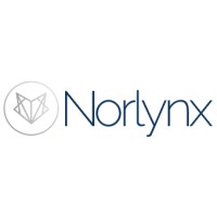 Norlynx logo - Similar company to Dragon Recruiting