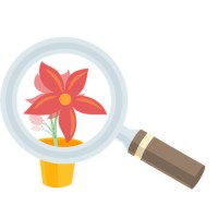 Animation Focus logo - Similar company to Rusty Animator School