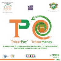 TrésorMoney logo - Similar company to Bmi-Wfs