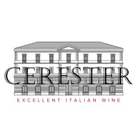 Cerester S.r.l. logo - Similar company to Wide Logistic