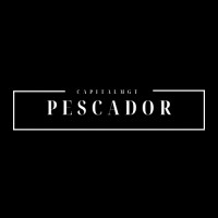 Pescador Capital Management logo - Similar company to 泰科動力 Tac Dynamics