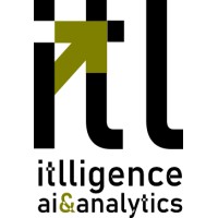 IT LLIGENCE SA logo - Similar company to Paranoid Software