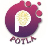 Potla tech solutions private limited logo - Similar company to Dream Dev