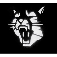 Wildcat S.r.l. logo - Similar company to Kiwii Digital Solutions
