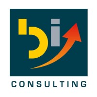 Burning Issues Consulting logo - Similar company to Venortech Limited