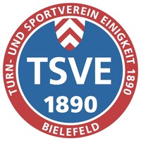 TSVE 1890 Bielefeld logo - Similar company to Madeprojects