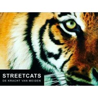 Stichting de Zebra logo - Similar company to Young Changemakers