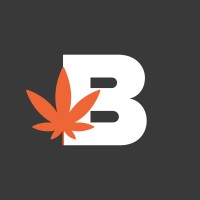 Budvue logo - Similar company to Globaltill