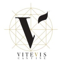 CANTINE VITEVIS S.c.a. logo - Similar company to Cielo E Terra S.P.A. Benefit Corporation