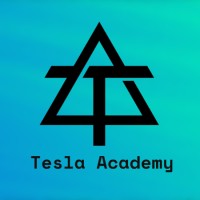 TeslaAcademy logo - Similar company to Havmore Corp