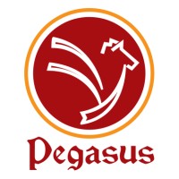 Pegasus Consultancy (Pvt.) Ltd logo - Similar company to Rumi Intermodal