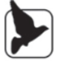 Blackbird Corporate Ltd logo - Similar company to Mattik Consultancy Services