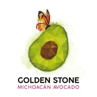 Golden Stone Comercializadora SA de CV logo - Similar company to Nfx Financial Advisors