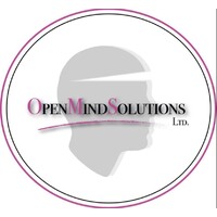 Open Mind Solutions Ltd logo - Similar company to Digitek Services