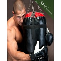 alex enterprise and co uk logo - Similar company to Evb Boxing Fitness Equipment Factory