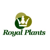 VIVEROS ROYAL PLANTS SL logo - Similar company to Grupo Biotech