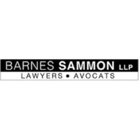 Barnes, Sammon Llp