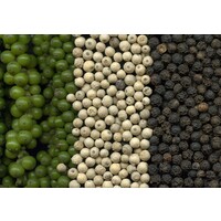 poivre de penja logo - Similar company to Spice Framework
