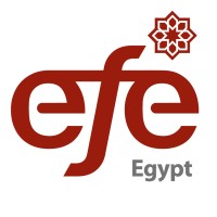 Education For Employment-Egypt logo - Similar company to Comma Learning Solutions