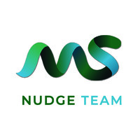 NudgeTeam Romania logo - Similar company to Intuitext