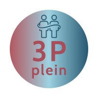 3P Plein logo - Similar company to Fonds Sluyterman Van Loo / Lang Leve Kunst / Verbinding