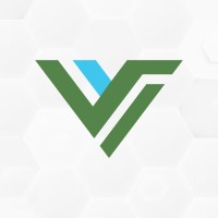 Virtuso IT logo - Similar company to Virtuasol Software Inc. (Virtuasoft)
