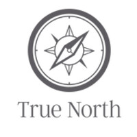 True North logo - Similar company to True North Consulting, Llc