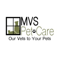MVS Ventures logo - Similar company to Socks & Bottoms Franchise