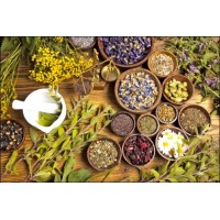Herbalist M logo - Similar company to Herbalist