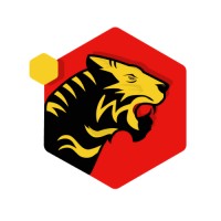 Beast Developer logo - Similar company to Codeskyindia