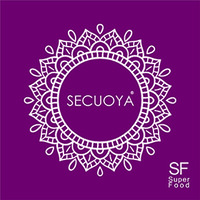 Secuoya logo - Similar company to Secuoya