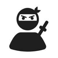 The Money Ninja