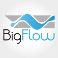 BigFlow SA logo - Similar company to Piemsa