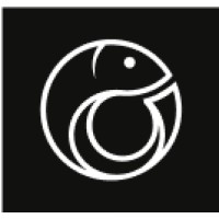 BigFish CRM logo - Similar company to Numidex Consulting