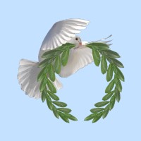 Shalom Software
