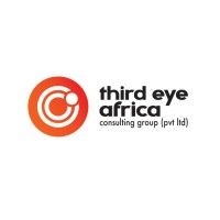 Third Eye Africa Consulting Group Pvt (ltd) logo - Similar company to Jc Consultancy