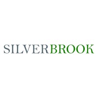 Silverbrook Holdings LTD logo - Similar company to Stability Risk Uw Ltd