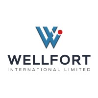 WELLFORT INTERNATIONAL LTD logo - Similar company to Business Point Bd