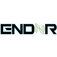 ENDOR logo - Similar company to Meeple S.R.L.