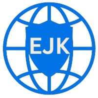 EJK Web Solutions logo - Similar company to Dandelion Applied Ai